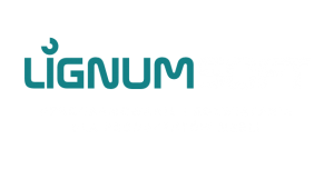 Logo_LIGNUMSOFT_biale