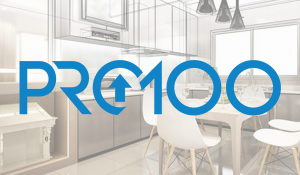 logo pro100